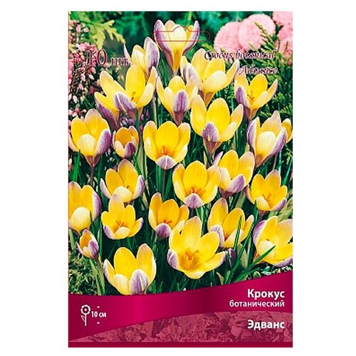 ������ ������ ������ ������������ ������. 10 �������. ��������� ����� ����