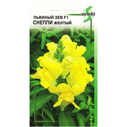 ������ ������ ������� ��� �����, ������, 15 ����� ����