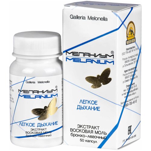 ������ ������ �������� �������� ���� ��� ������ 