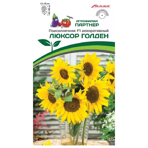 ������ ������ ������ ������������� ������������� 