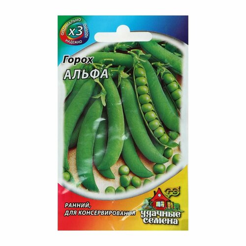 ������ ������ ������ ����� 