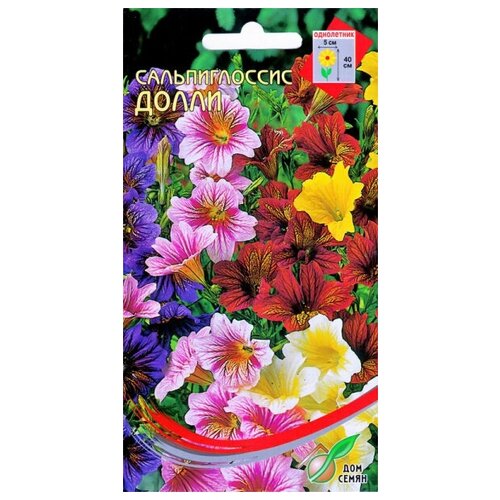 ������ ������ ������������� �����, 160 ����� ����