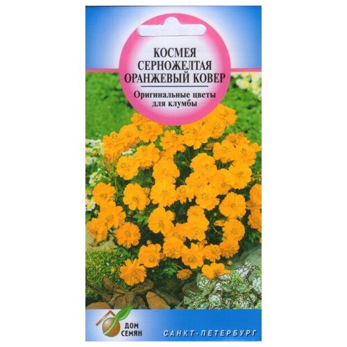 ������ ������ ������ ��������� �����, 25 ����� ����