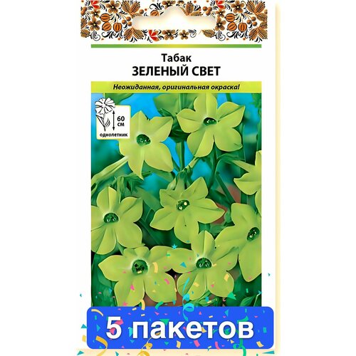 ������ ������ ����� ����� �������� ������� ���� 5 ������� ����