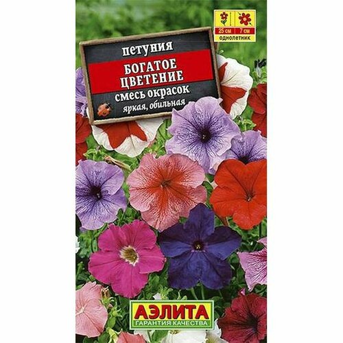 ������ ������ ������ ������� ������� ��������, �����, ����������, (������) 0,1� ����