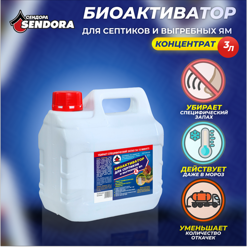 ������ ������ �������� ��� �������� � ����� / ������������ �������� 3� ����