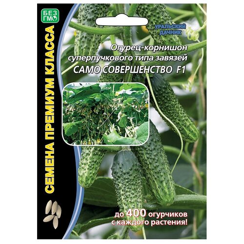 ������ ������ ������ ��������� ������ ������� ������ ���� ������������ F1 5 ��. ����