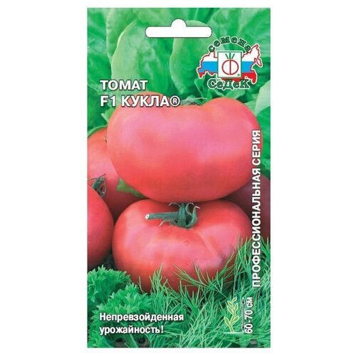 ������ ������ ������ ����� ����� ����� F1 ����