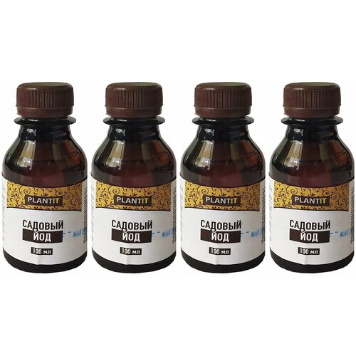 ������ ������ ��� ������� �� ����������� �� �������, ���, ���� 