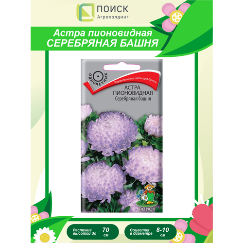 ������ ������ ����� ����������� ���������� ����� ����