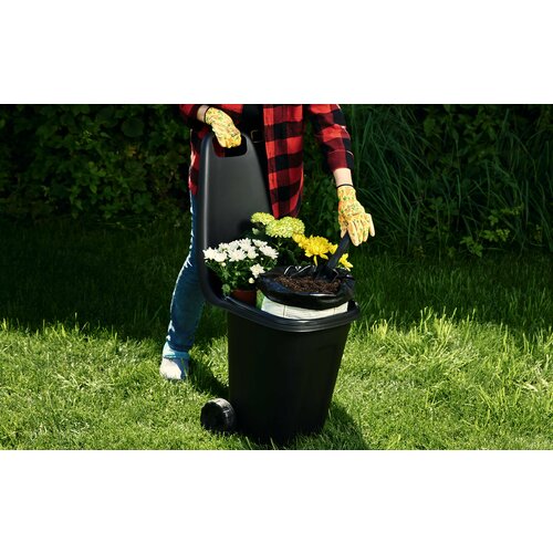 ������ ������ ������� ������� (57?39?95��) 38� ������ ����