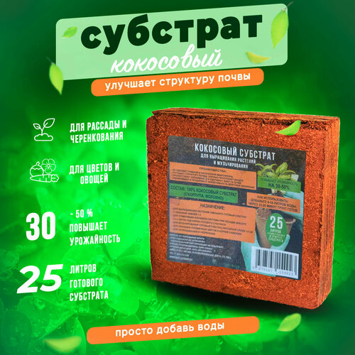 ������ ������ ��������� �������� ������������ ������ ����������, 25 �, 2 �� ����