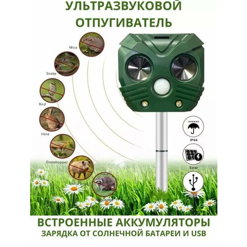 ������ ������ �������������� ������������ ������ � �������� ����