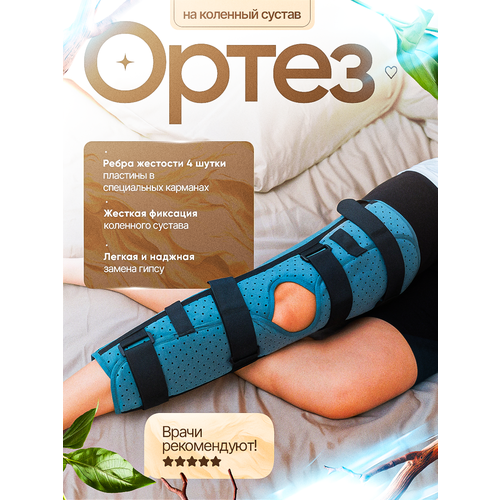 ������ ������ ����� 