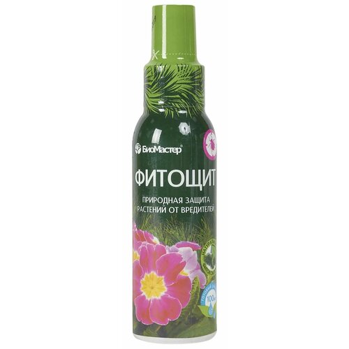 ������ ������ ��������� ����� �� ���������� �������, 100 ��, 100 � ����