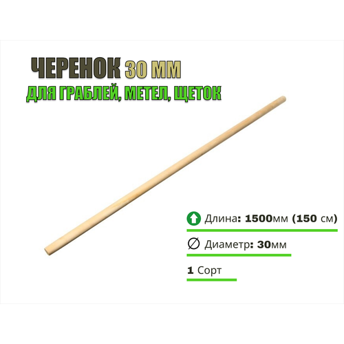 ������ ������ ������� ���� 30, L-1500, 1 ���� - ��� ������� ����