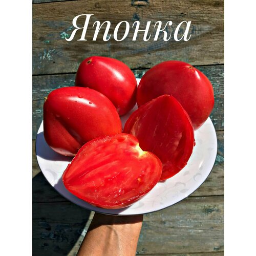 ������ ������ ������������� ������ ������ ������ ����