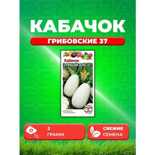 ������ ������ ������� ���������� 37 2 � ����