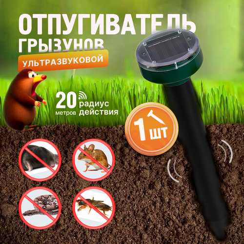 ������ ������ ������������ ������, �����, ����, ����, �������� ��������������, 1��. ����