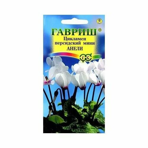 ������ ������ �������� ����� ���������� ���� 3�� ����