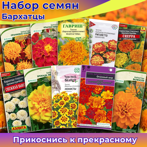 ������ ������ ������ ��������� 