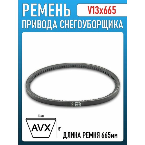 ������ ������ ������ V13x665 �������� (������) �� ������������ ����