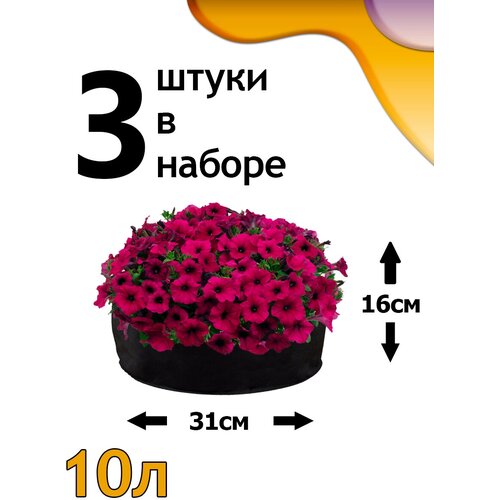 ������ ������ ������ ���� 10� - 3�� ����