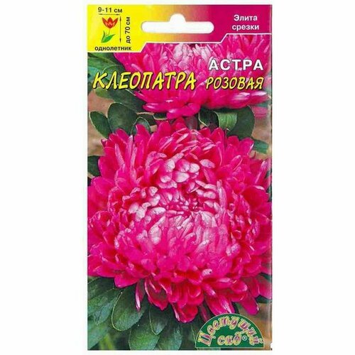 ������ ������ ������ ����� ��������� �������, ����������, (�������� ���) 0,2� ����