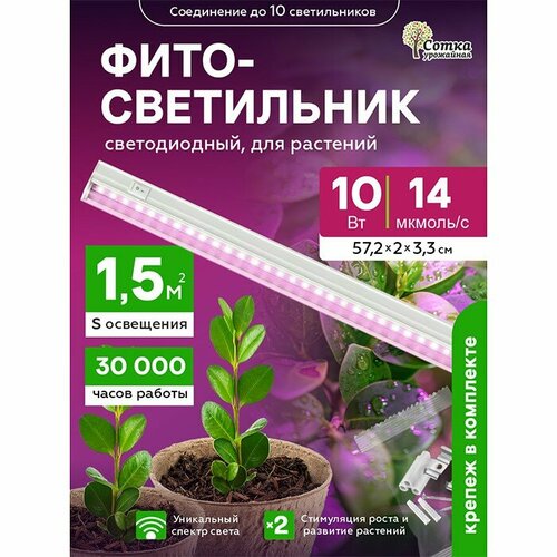 ������ ������ ��������� ��� �������� ��������������� 10 ��, ������ ��� ����������� � ������������, ������� ���� ����