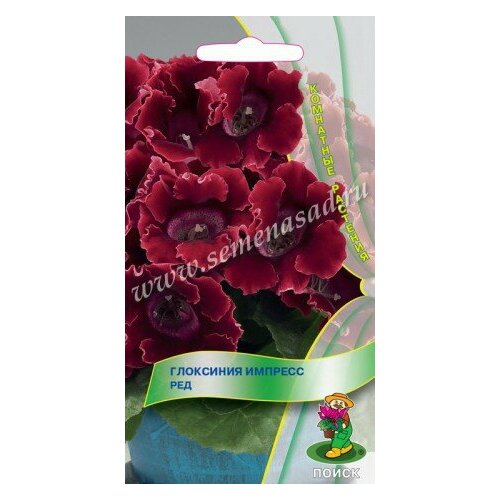 ������ ������ ��������� ������� ��� 5��. (����. ����.) (�����) ����