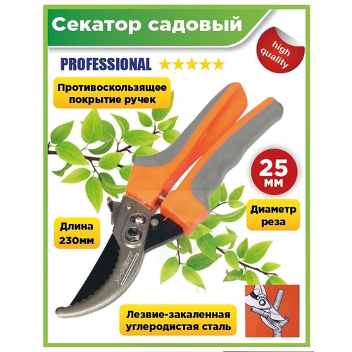 ������ ������ ������� ������� ����������������, ������� ���� �� 25 ��, ��������, �������� ��� �������� � ������ ����