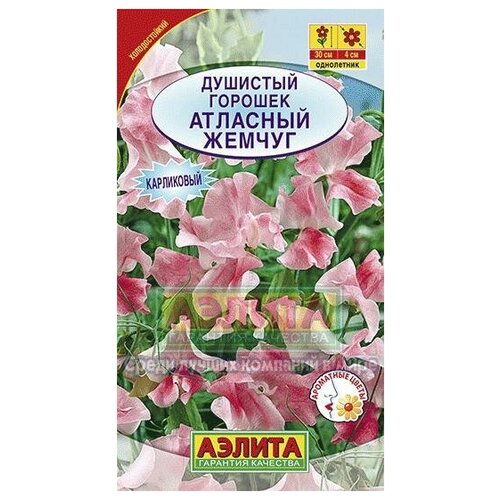 ������ ������ ������. �������� ������� 