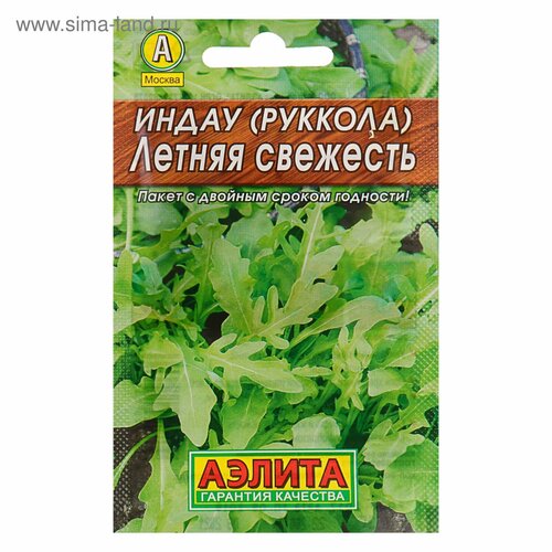 ������ ������ ������ ����� (�������) 