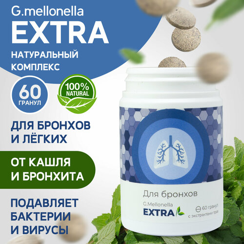 ������ ������ ������� ������ - ��� �������, �� �����, �� ��������, ���������� ����������� 60 ������. ����