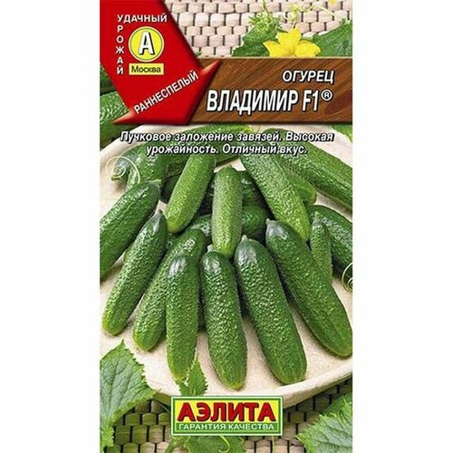 ������ ������ ������ ������ �������� F1 ����, �����������, (������) 10�� ����