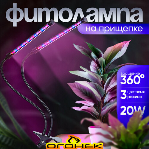 ������ ������ ���� ����� ��� �������� � �������� �� �������� ������ OG-LDP20 ����