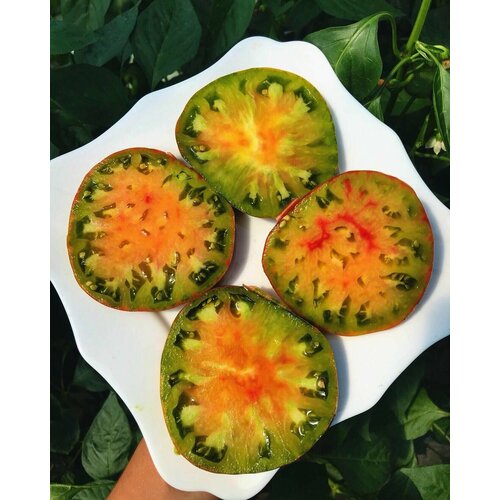 ������ ������ ������������� ������ ����� ����� ����