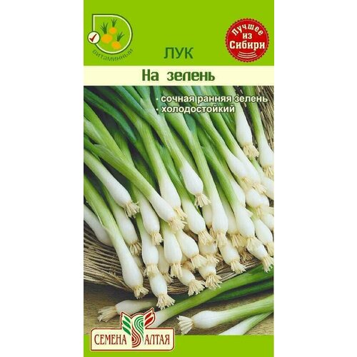 ������ ������ ������ ���� �� ������ �� ������ �����, �����������, 0,5 �� ����