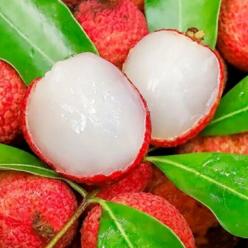 ������ ������ ������ ������ ����, ����� 2 ��. ����