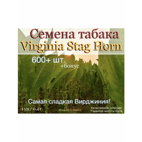 ������ ������ ������ ������ Virginia Stag Horn ����