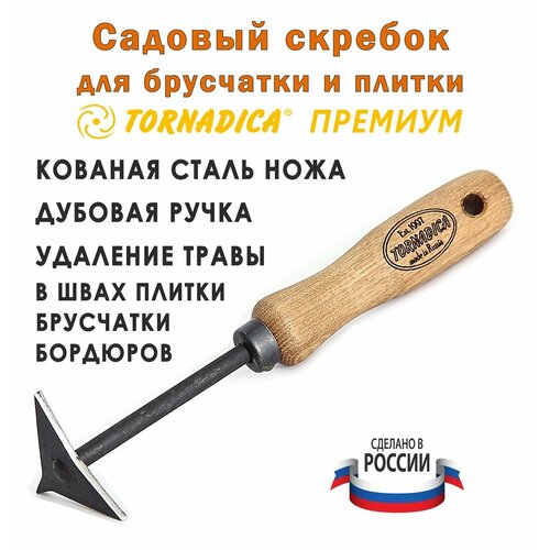 ������ ������ ������� ��� ��������� ������� ��������� ��������� �������� � ������������ ����, �������� 14 ��. ����