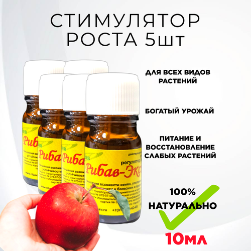 ������ ������ ����� ��������� ����� ������ ��������� ���������� ����� �������� 10 ��, 5 �� ����