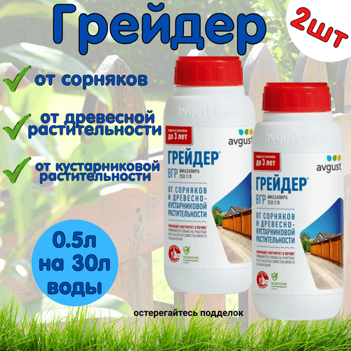 ������ ������ �������� Avgust 
