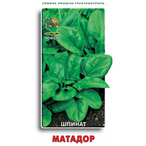 ������ ������ ������� ������ 