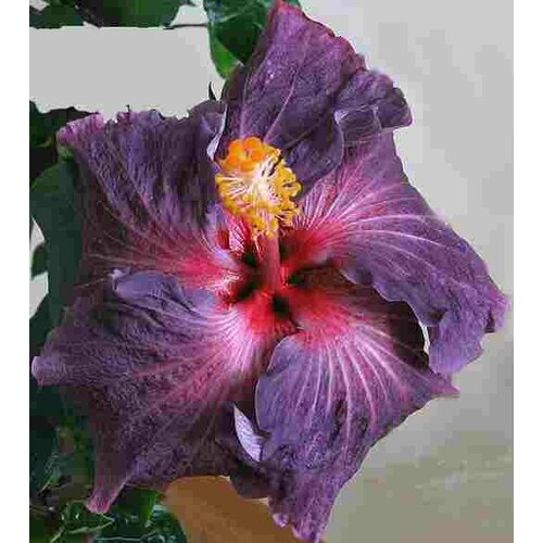 ������ ������ ������ �������� ��������� ����� ���� 5 ��. 1 �������� ����