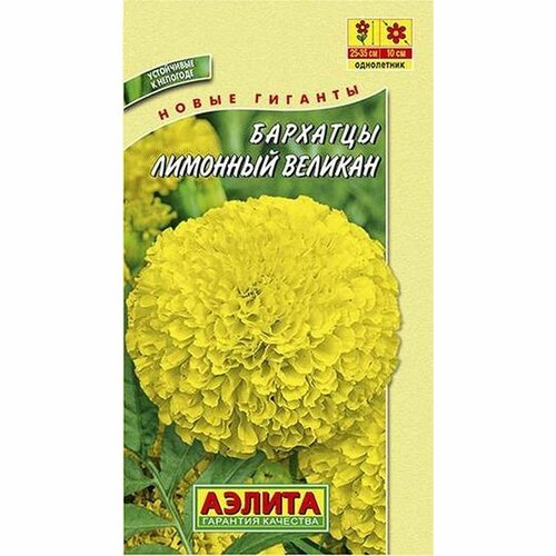 ������ ������ ������ �������� �������� ������� ����������, (������) 0,1� ����