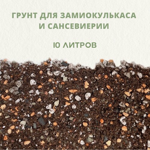 ������ ������ ������� ����� ��� ������������� � �����������. ����� ��� �������������. ����