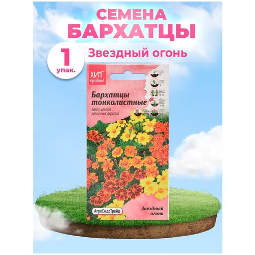 ������ ������ �������� �������� ����� 0,1 � ��� / ������ ���������� ������ ��� ���� / ���������� ����� ��� ������� ����