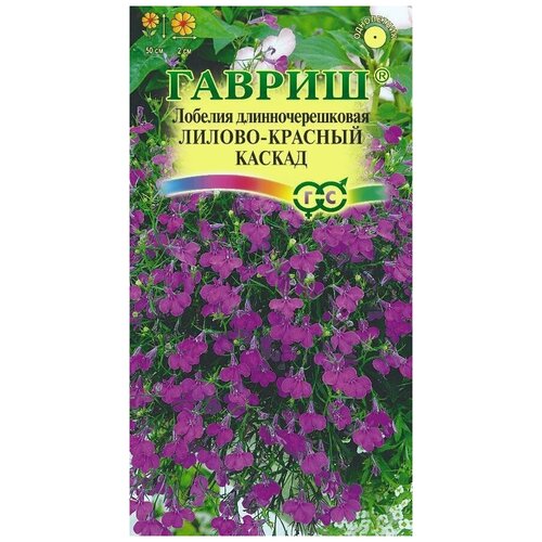 ������ ������ ������ ����� ������� ������-������� ������ -3 ����. ����