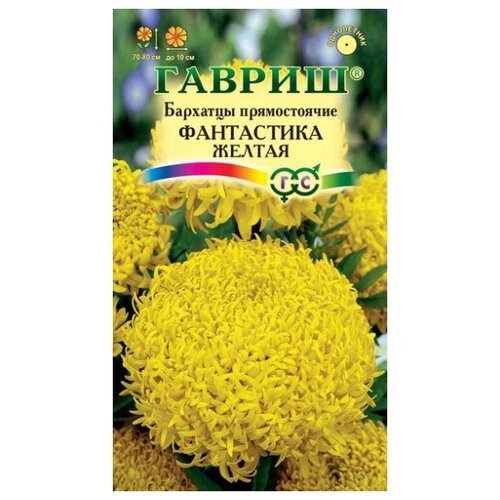 ������ ������ ������ ������ �������� ������������ ���������� ������ (�������) 0,1 � �12 ����